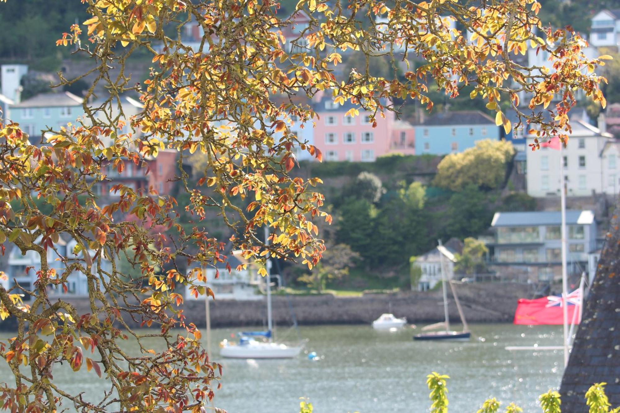 Judge'S Cottage Kingswear Exterior foto